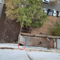 В Оренбурге женщина уехала в Москву, оставив умирать на балконе кота