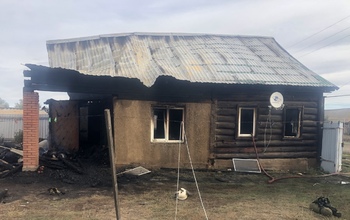 Мать и ребёнка при пожаре в Курманаевском районе спас пожарный извещатель 