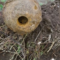 В Оренбурге на улице Шевченко обнаружили авиационную бомбу