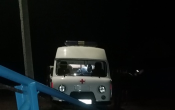 В Асекеево из речки спасли двух человек