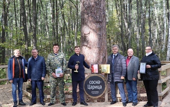 Оренбуржцы не зря усиленно голосовали за бузулукскую сосну