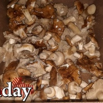 Оренбуржцы успешно завершают сезон «тихой охоты»