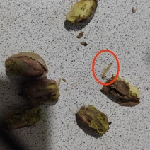 В Оренбурге за немалые деньги торгуют продуктами с червями