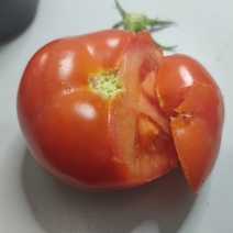 В Оренбуржье снова прибыли из Узбекистана заражённые фрукты и овощи