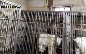 Россельхознадзор озвучил результаты проверки в оренбургском цирке