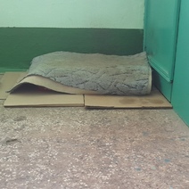 В Оренбурге жители одного из подъездов многоэтажки боятся выходить из квартир