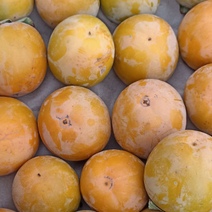 В Оренбуржье запретили ввезти из Казахстана рис, орехи и сухофрукты