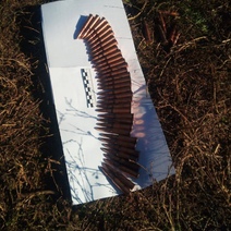 Под Шарлыком браконьеров с тушей косули возил пьяный водитель