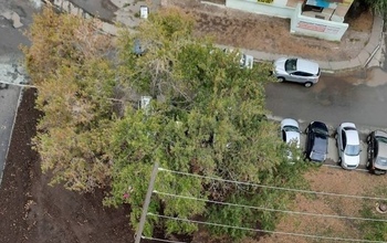 Оренбурженка, оставившая кота на балконе, не понесёт наказания