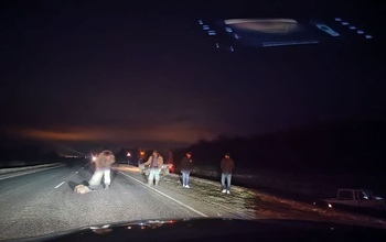 Под Оренбургом перед водителем на дорогу выбежала семейка кабанов (18+)