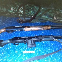 В Илекском районе возбуждено уголовное дело по факту отстрела пяти кабанов (18+)