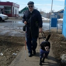 В Оренбурге кондуктор потребовала оплатить проезд собаки-поводыря