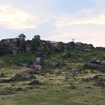 Чиновники из Орска из года в год не обращают внимание на природный памятник 