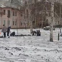 В Медногорске при -7 градусах в клумбы высадили герань