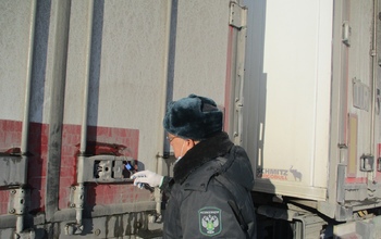 Из Казахстана в Оренбургскую область привезли 31 тонну заражённых томатов