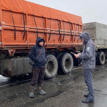 Из Оренбургской области пытались незаконно вывезти тонны пшеницы и ячменя
