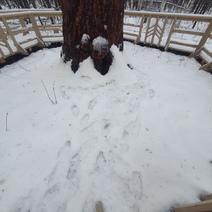 Личности туристов-нарушителей из 