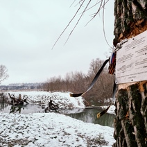 В Рязани на месте крушения Ил-76 из Оренбурга появилась памятная табличка