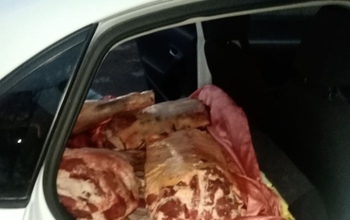 В Оренбуржье из Казахстана пытались ввезти говядину, колбасу и кумыс без документов