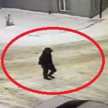 В Бугуруслане мужчина проник в раздевалку организации и обчистил карманы