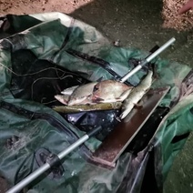 В Саракташском районе оштрафованы рыбаки-браконьеры