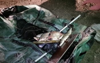 В Саракташском районе оштрафованы рыбаки-браконьеры