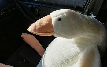 Какие нововведения в законодательстве ждут нас в ближайшие дни уходящего года