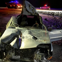 В Домбаровском районе водитель ВАЗ-2115 сбил лошадь (18+)