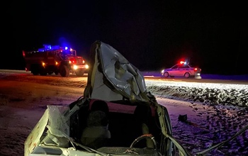 В Домбаровском районе водитель ВАЗ-2115 сбил лошадь (18+)