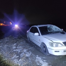 Шёл посередине дороги: на трассе 