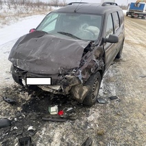 В Оренбуржье в страшном ДТП погибли мужчина и пятилетняя девочка (18+)