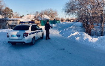 Водитель из Оренбургского района ударил полицейского локтем в лицо