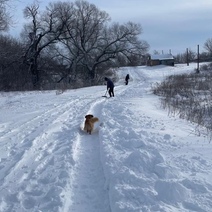 В Оренбуржье жители села сами лопатами чистят дороги