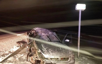 Под Оренбургом в результате наезда на лошадь пострадал пассажир 