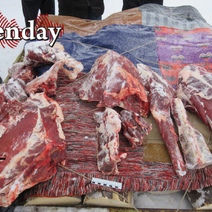 В Кваркенском районе охотоведа подозревают в браконьерстве