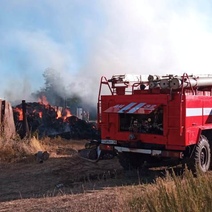 Житель Адамовского района ради развлечения сжёг ферму с бычками и птицей
