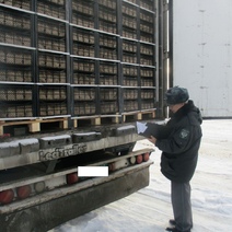 К ввозу в Оренбургскую область не допустили 22 тонны грецких орехов