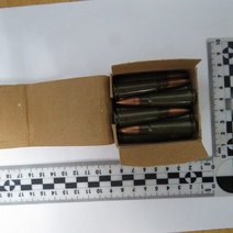 В Сорочинске мужчина получил шесть месяцев колонии за хранение шести патронов