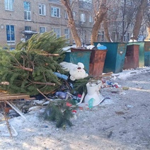 В Оренбурге новогодние ёлки начали разбирать и скармливать лошадям