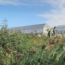 В Акбулаке дошло до суда дело о сбросе нечистот в реку из ИК-9