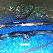 В Оренбуржье браконьер окажется на скамье подсудимых из-за отстрела пяти кабанов (18+)