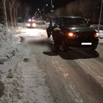 В Светлом водитель «УАЗа» насмерть сбил пенсионерку (18+)