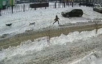 В Оренбурге у школы за мальчишкой гналась свора собак