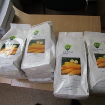 К ввозу в Оренбургскую область не допустили американские семена кукурузы