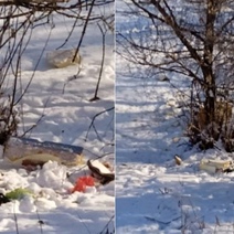 Сорочинцы загаживают парк Победы