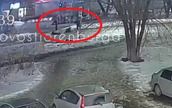 Сбил четырёх пешеходов в Оренбурге. За рулём автомобиля мог находиться силовик