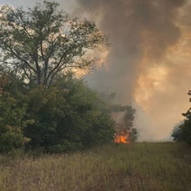 Жителя Оренбуржья оштрафовали за сгоревшую пшеницу