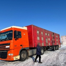 В Оренбургском районе электрики похитили со склада 19 светодиодных светильников