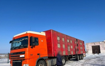 В Оренбургском районе электрики похитили со склада 19 светодиодных светильников
