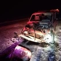 В Оренбургской области пьяный водитель «Нивы» лоб в лоб столкнулся с «КамАЗом»